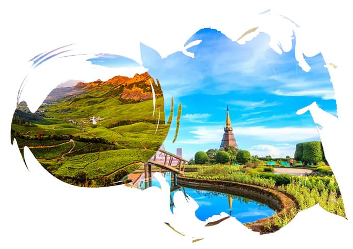 Travel